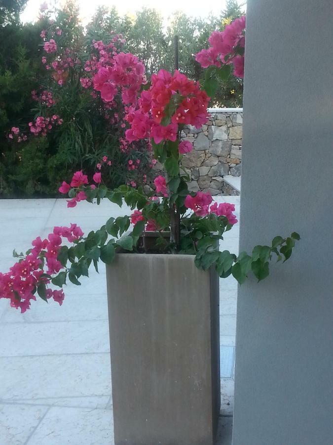 מורצ'יאנו די לאוקה Villa Ca Del Mar מראה חיצוני תמונה
