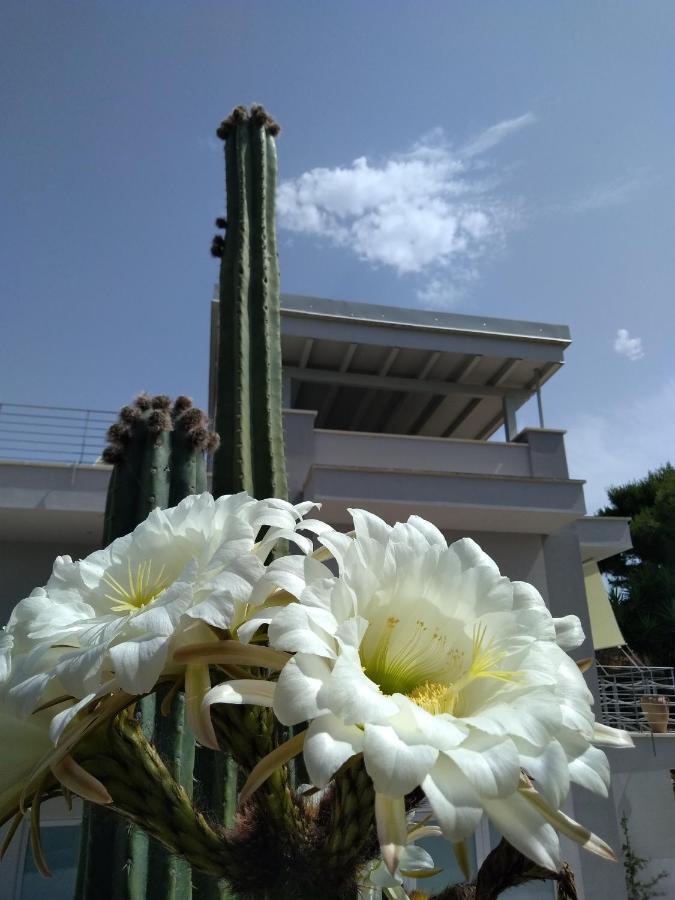 מורצ'יאנו די לאוקה Villa Ca Del Mar מראה חיצוני תמונה