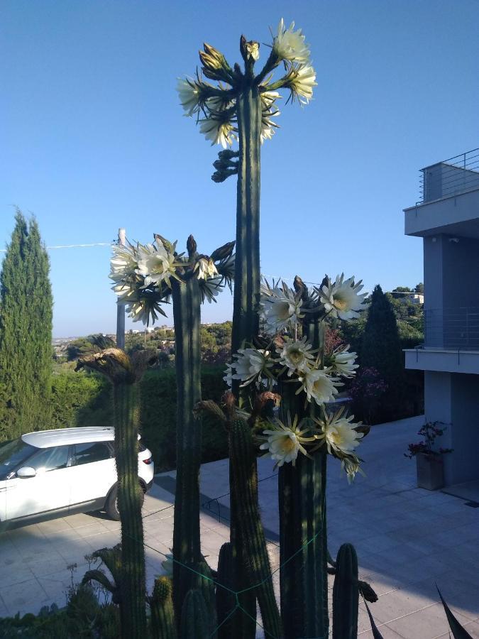 מורצ'יאנו די לאוקה Villa Ca Del Mar מראה חיצוני תמונה